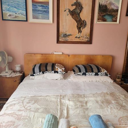Apartment Madona Šibenik Dış mekan fotoğraf